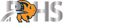 PROTEGE HEALTH SERVICES